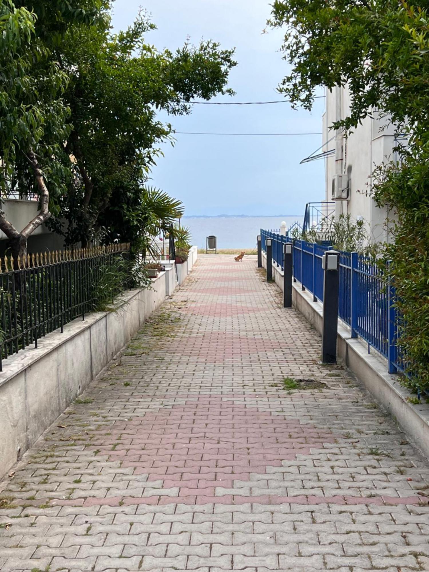 Joanna Apartment غيراكيني المظهر الخارجي الصورة